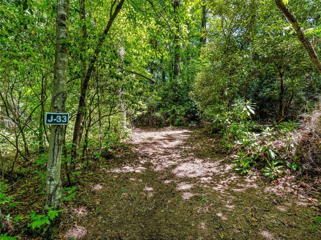 Lake Toxaway, NC 28747,J 33 Cherokee PT