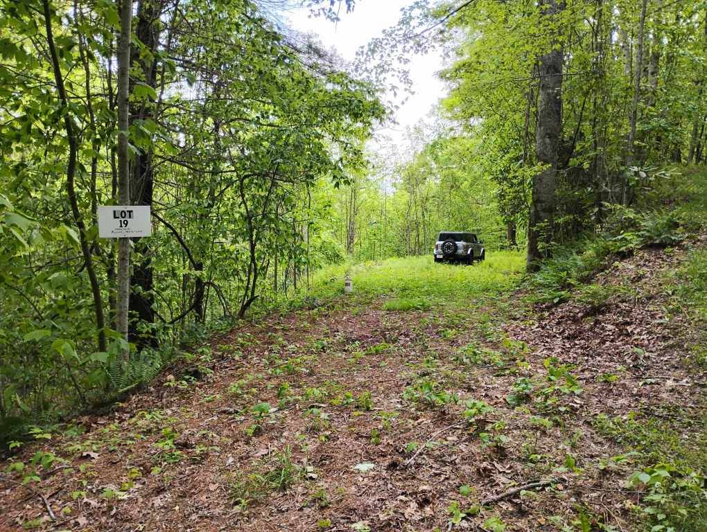Scaly Mountain, NC 28775,0 Highland Gap