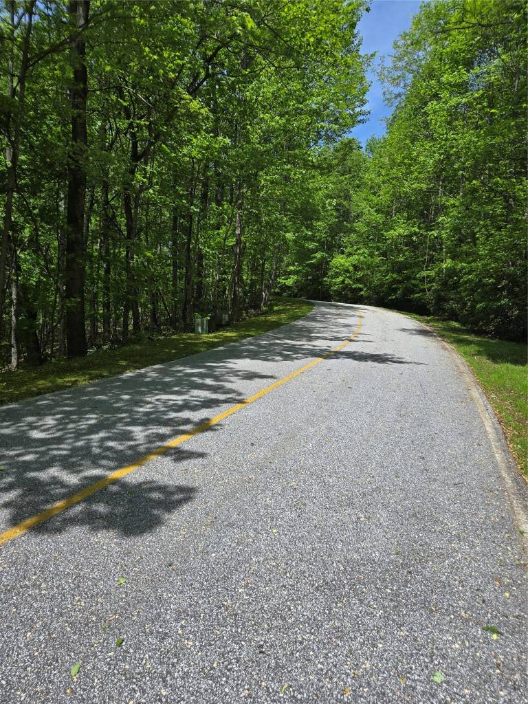 Lake Toxaway, NC 28747,Lot 25 Panther Ridge DR