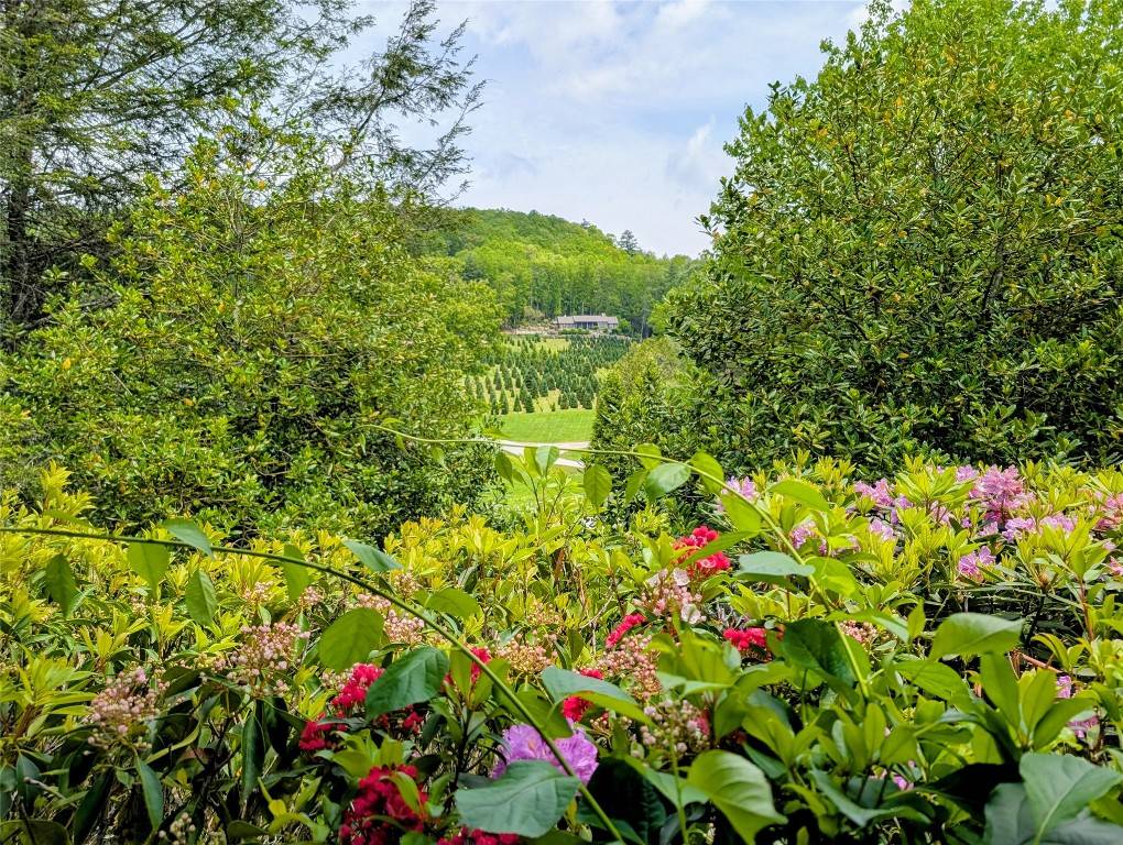 Glenville, NC 28736,62 Admirals Point Drive