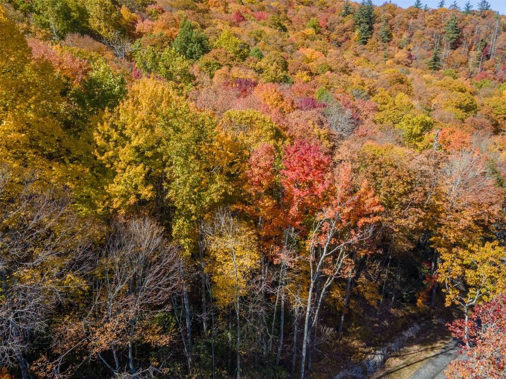 Cashiers, NC 28717,Lot 2 GlenCove Drive