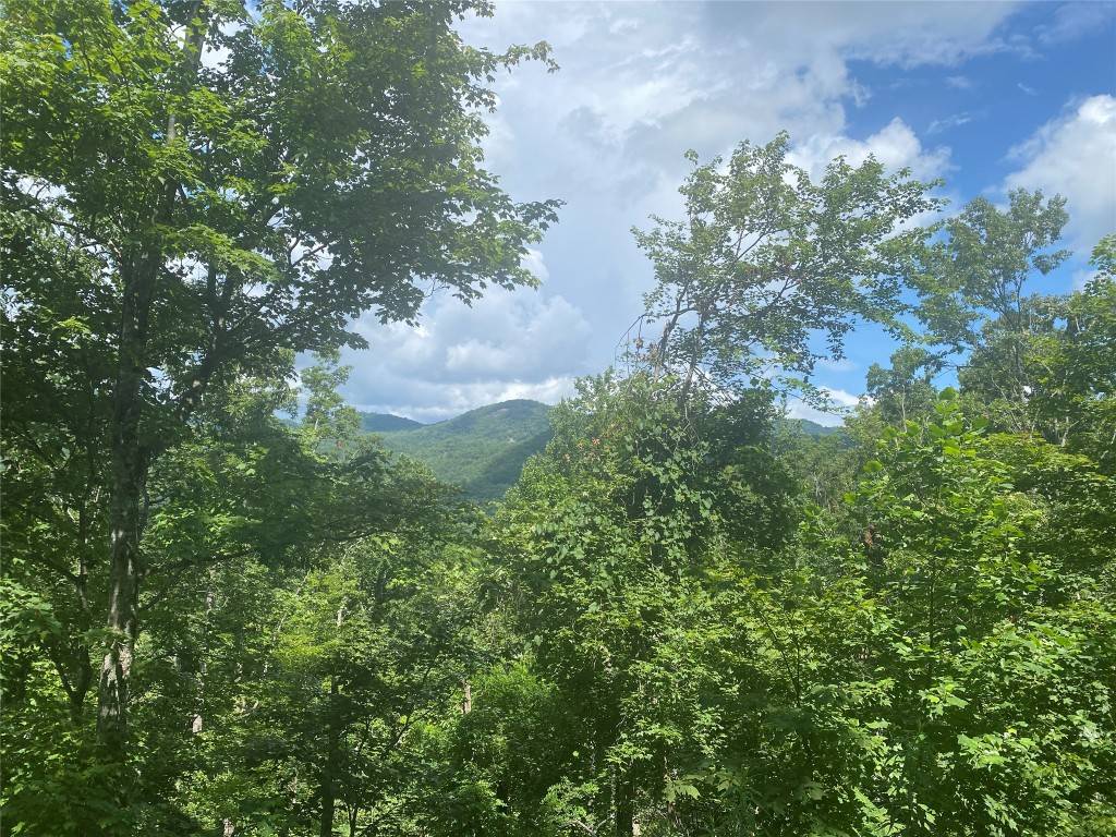 Glenville, NC 28736,Lot 76 Parachute Ridge