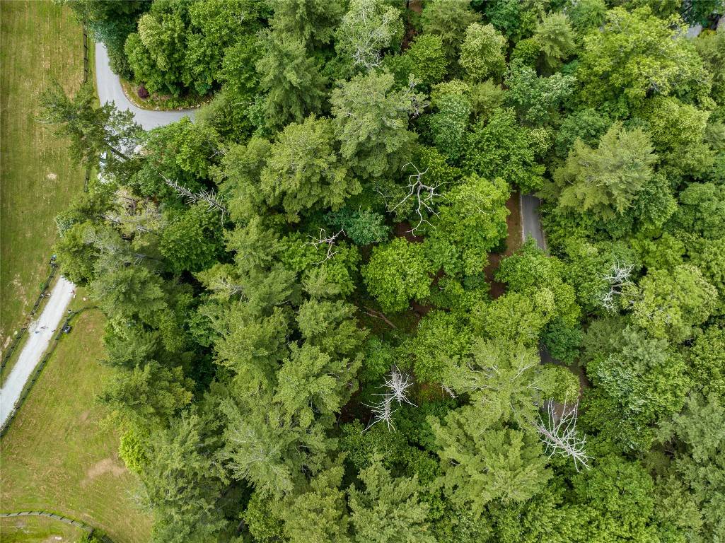 Cashiers, NC 28717,17 Wildflower Drive DR