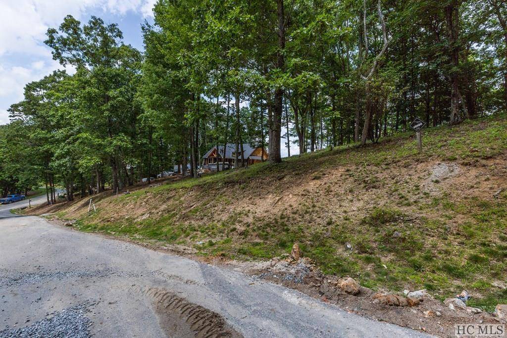 Glenville, NC 28736,Lot 29 Bullbriar DR