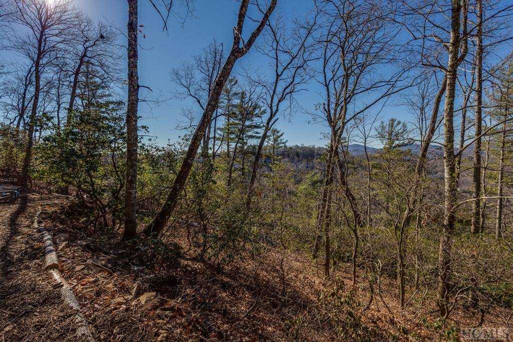 Glenville, NC 28716,Lot 50 Winter Green DR