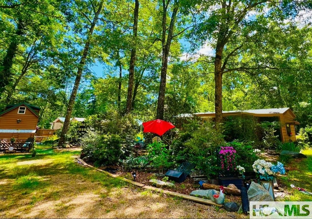 Sapphire, NC 28774,45 Tomahawk lane DR