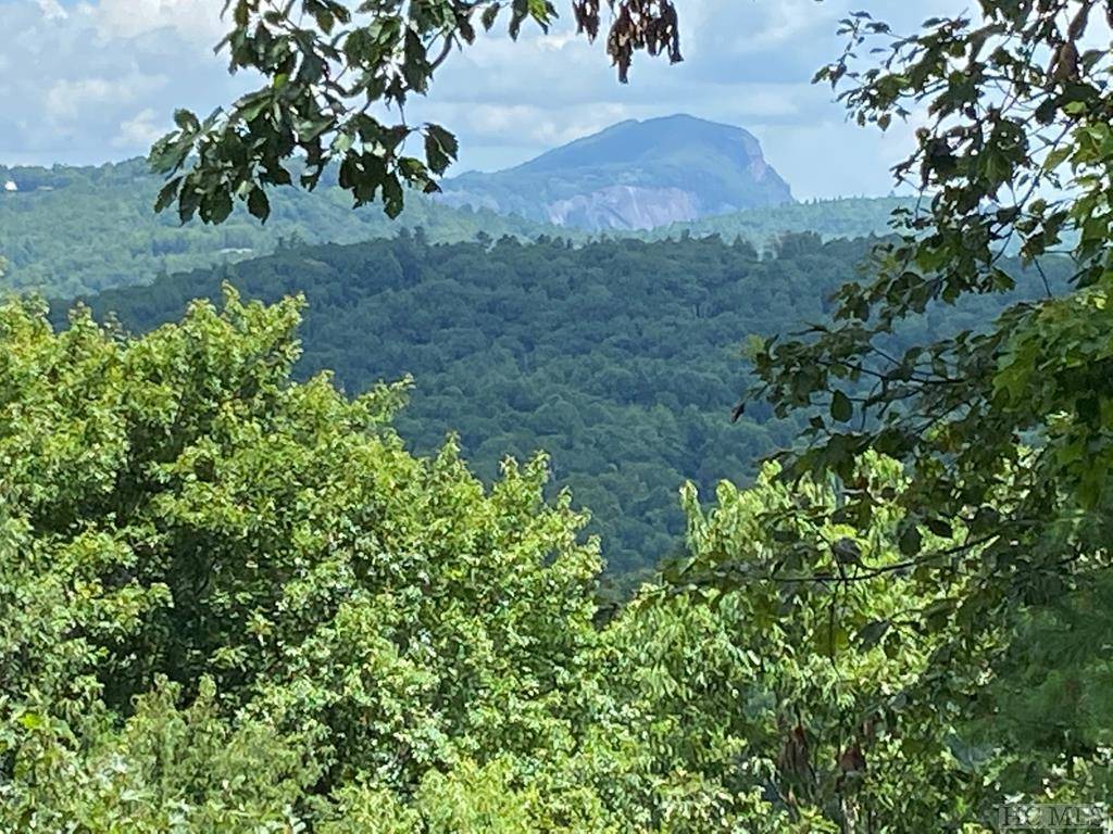 Highlands, NC 28741,0 Lower Brushy Brushy Face RD