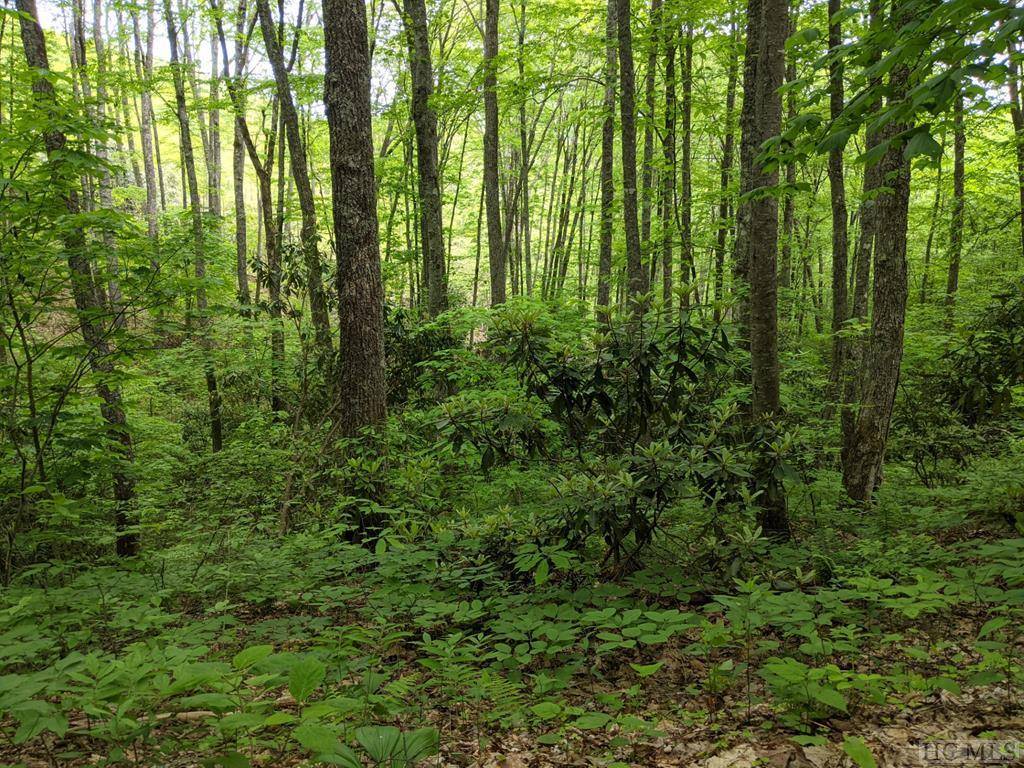 Cullowhee, NC 28723,17010 Buck Knob RD
