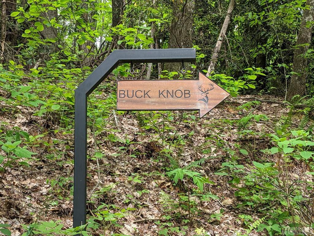 Cullowhee, NC 28723,17010 Buck Knob RD