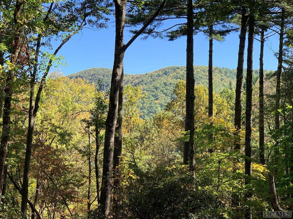 Cashiers, NC 28717,RT-8 Broadwing