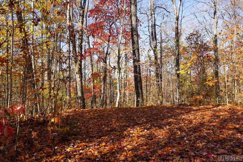 Scaly Mountain, NC 28775,na High Point View RD