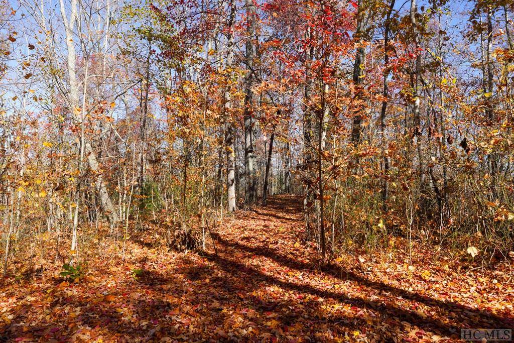 Scaly Mountain, NC 28775,na High Point View RD