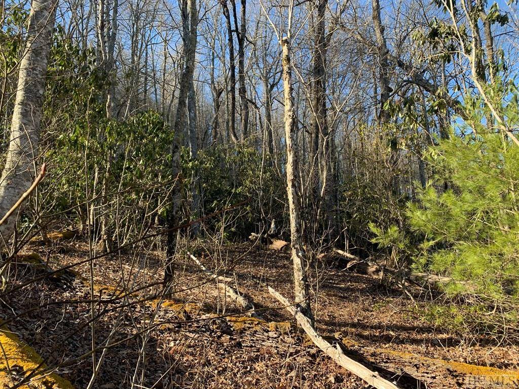 Cashiers, NC 28717,Lot 9 GlenCove DR