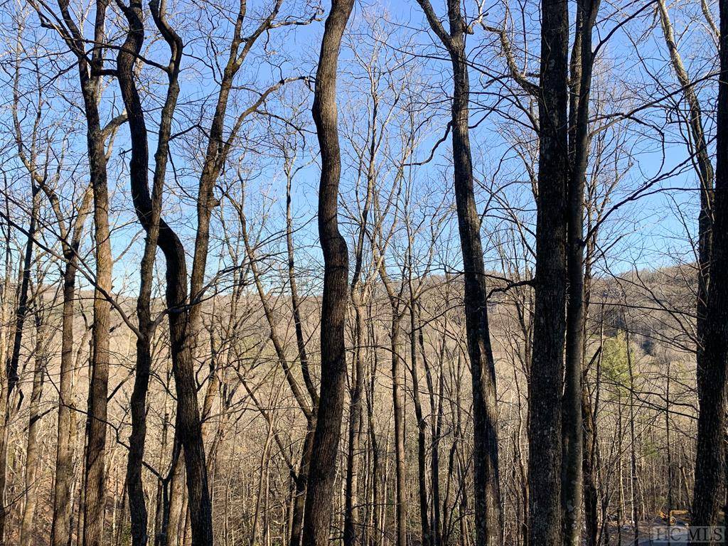 Cashiers, NC 28717,Lot 13 GlenCove DR