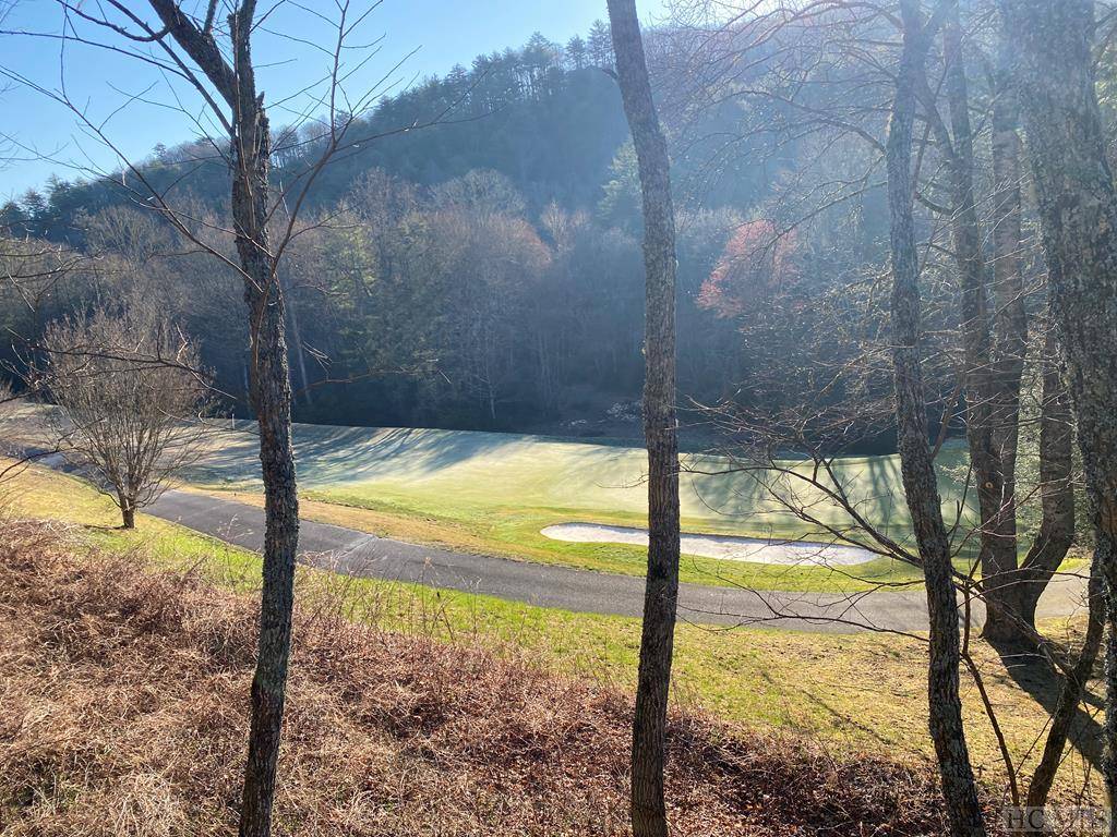 Cullowhee, NC 28723,Lot 16 Trillium Ridge RD