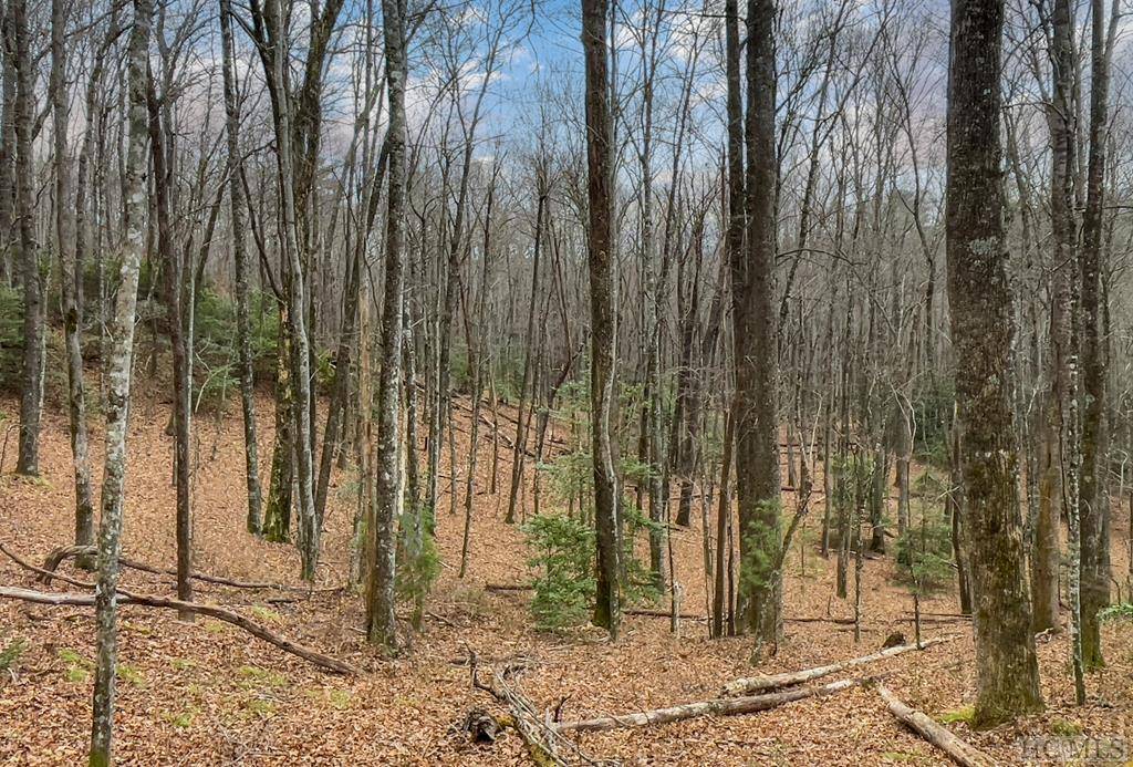 Sapphire, NC 28774,Lot 30 Peach CT