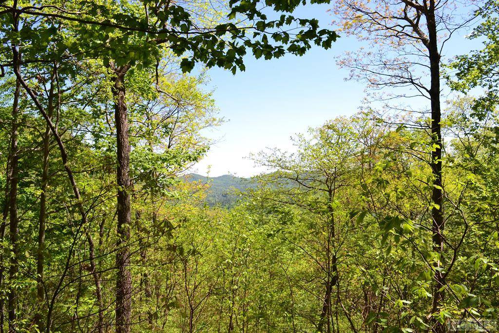 Sapphire, NC 28774,Lot 35 Hidden Grouse LN