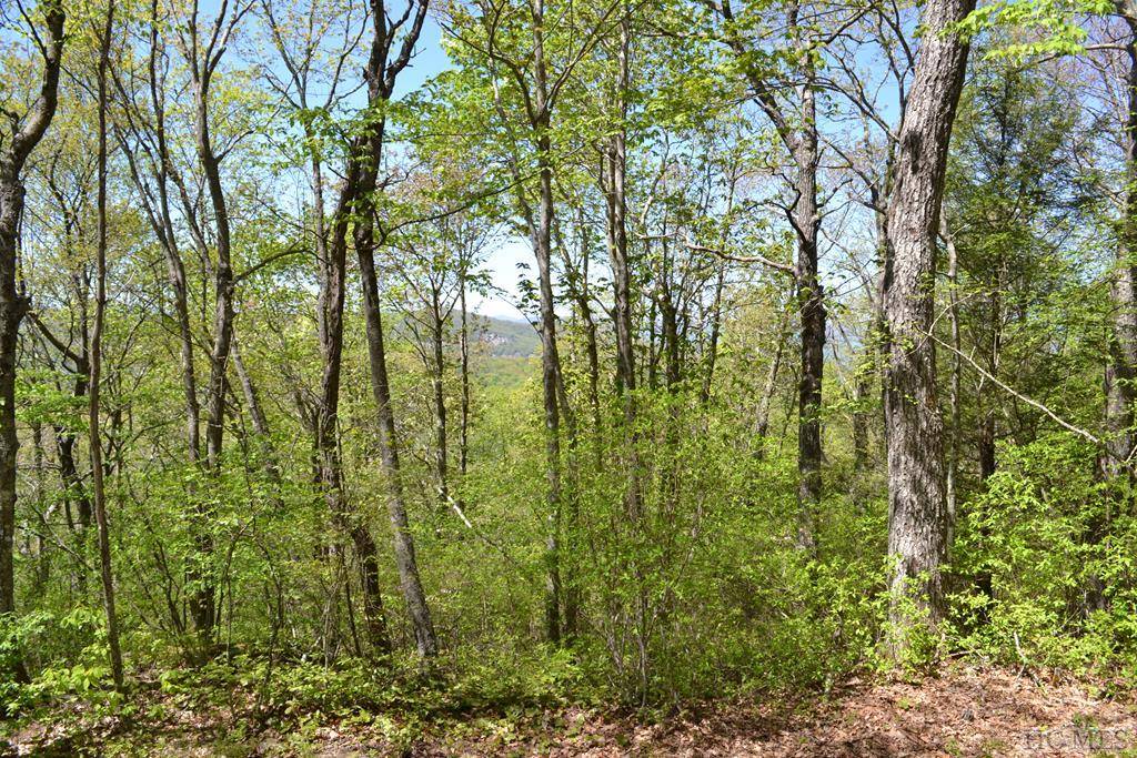 Sapphire, NC 28774,Lot 35 Hidden Grouse LN
