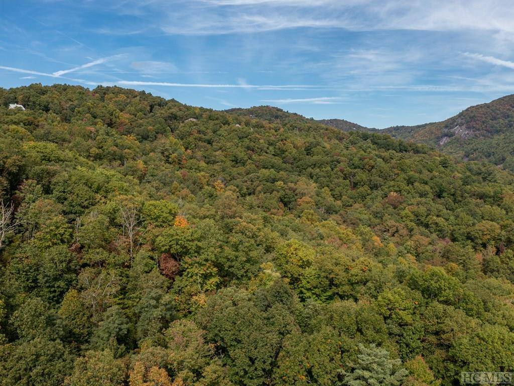 Sapphire, NC 28774,000 Trillium CT