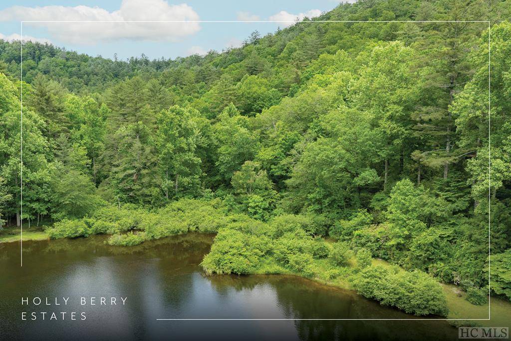 Cashiers, NC 28717,Lot 8Rev Twin Lakes DR