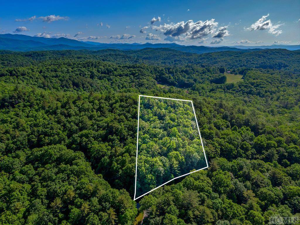Lake Toxaway, NC 28747,TBD Hawk Mountain RD