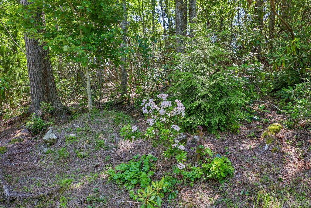 Highlands, NC 28741,Lot 1 Big Bear Pen RD
