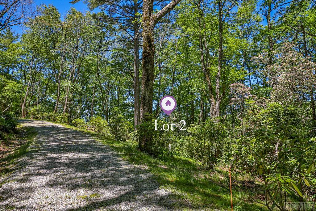 Highlands, NC 28741,Lot 2 Big Bear Pen RD