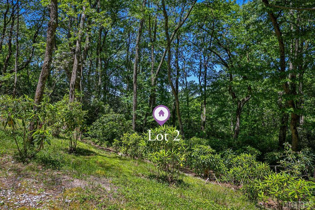 Highlands, NC 28741,Lot 2 Big Bear Pen RD