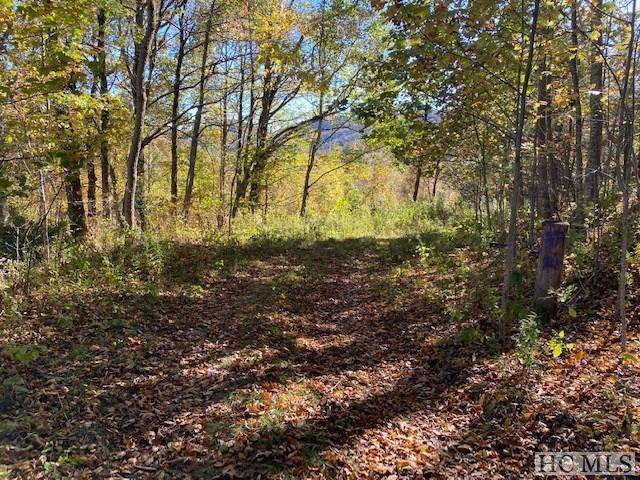 Glenville, NC 28736,0000 Big Ridge RD