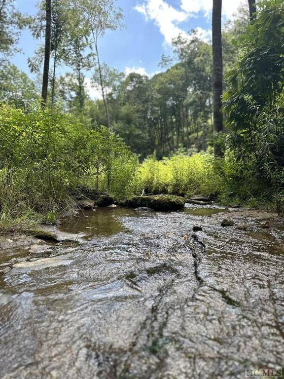 Glenville, NC 29736,580 N Robinson Creek RD