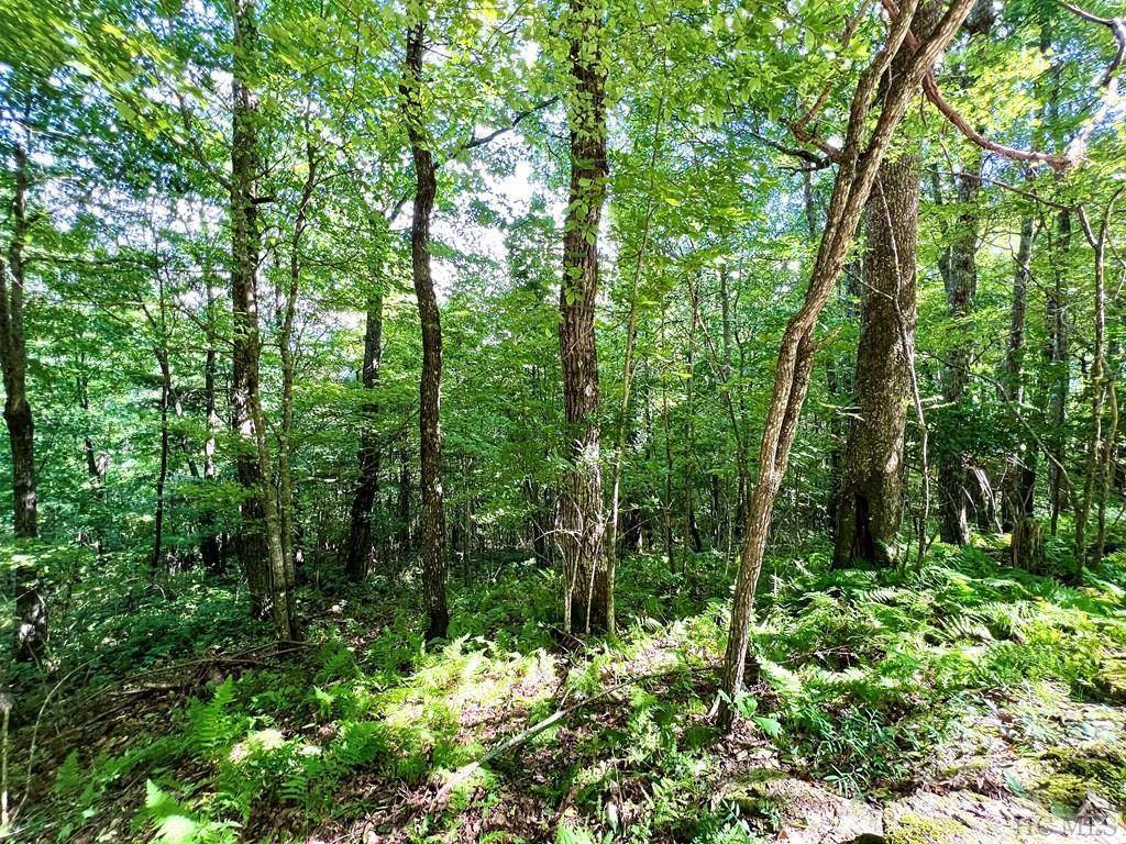 Sapphire, NC 28774,Lot 13 Deer Crest DR