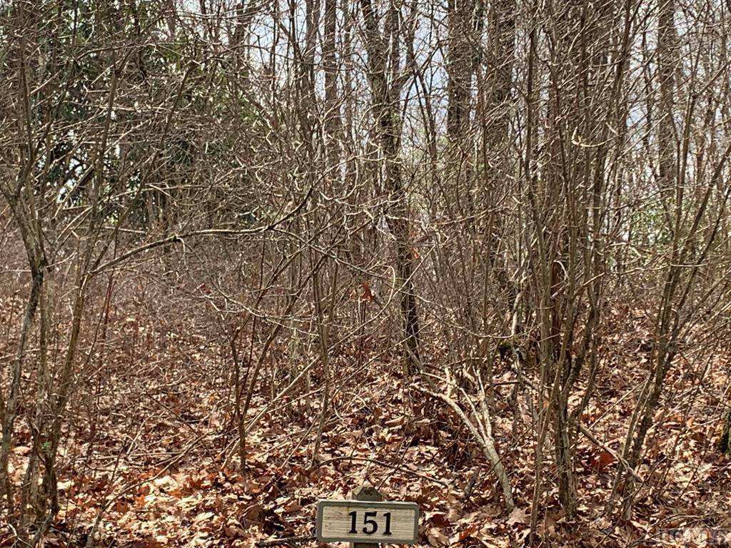 Highlands, NC 28741,151 Hilldale LN