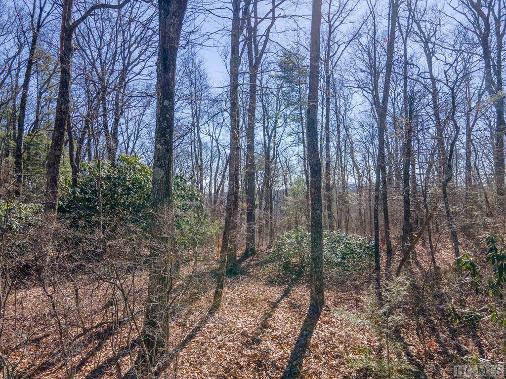 Highlands, NC 28741,151 Hilldale LN