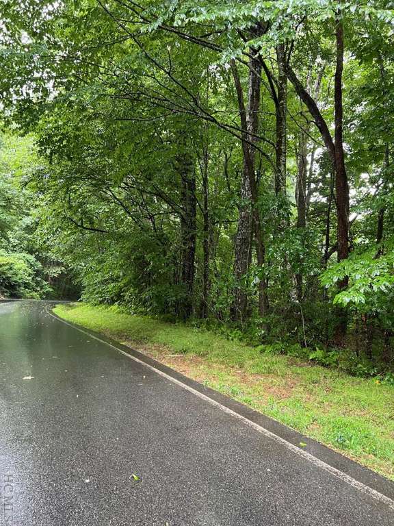 Sapphire, NC 28774,Lot 40 Narrows RD