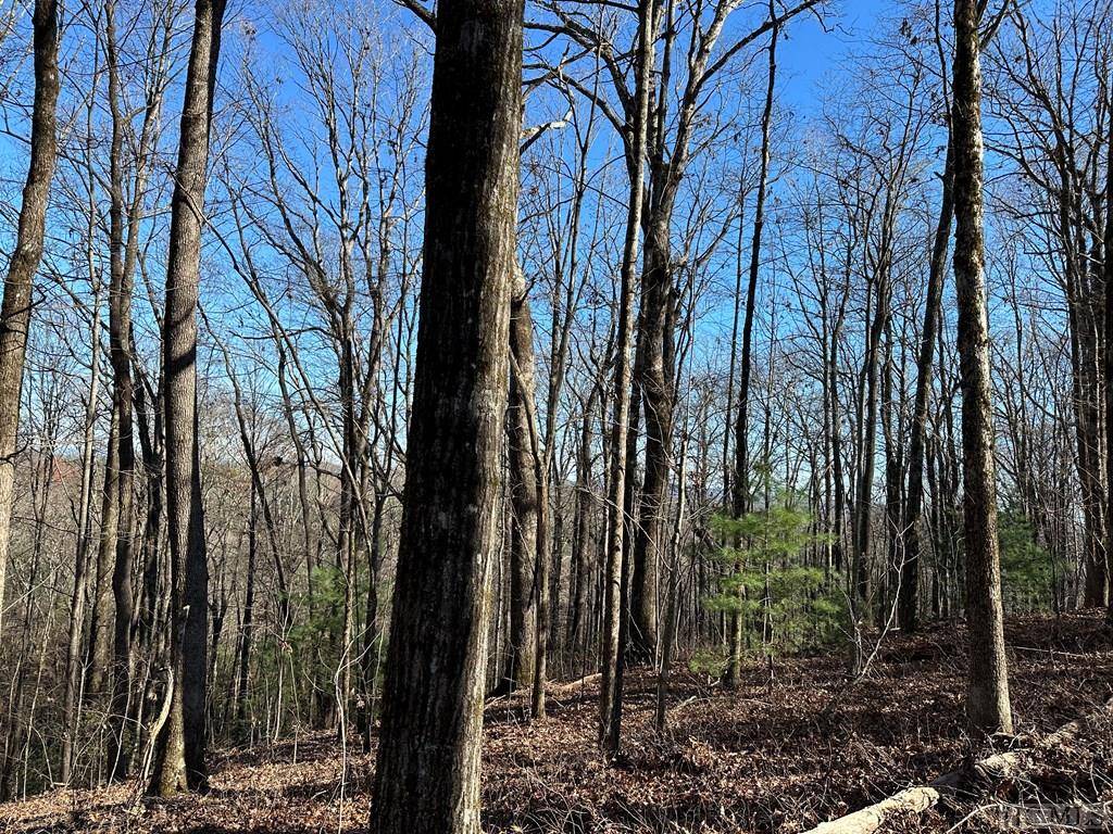 Lake Toxaway, NC 28747,19 21 23 Whetstone Gap RD