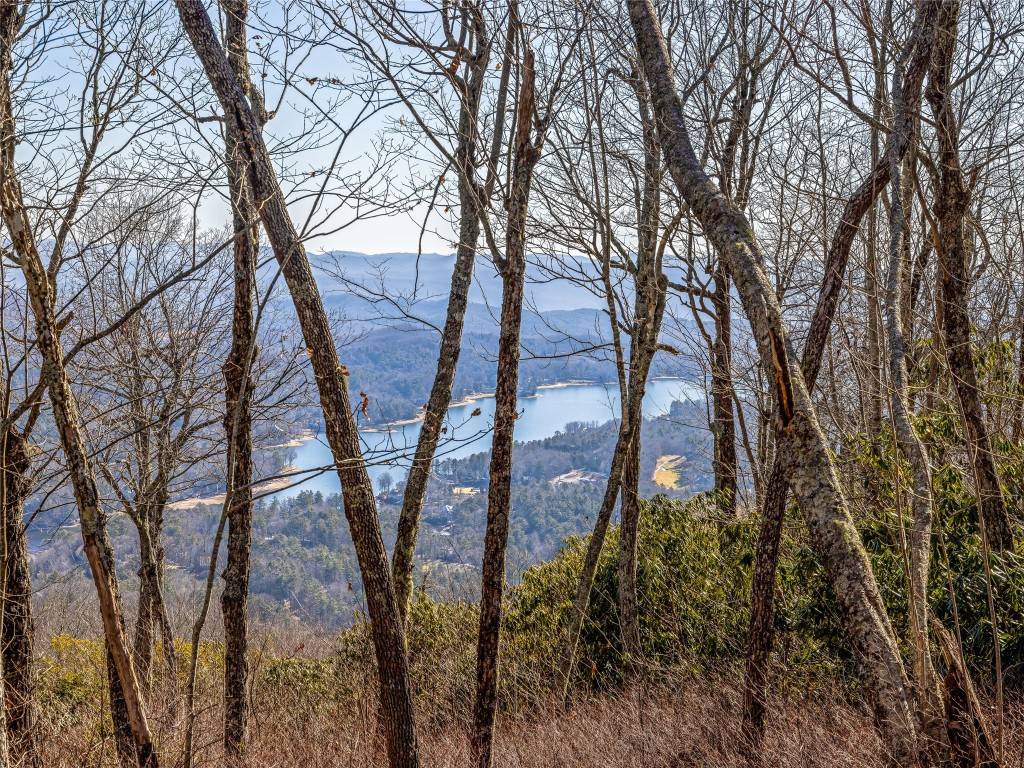 Lake Toxaway, NC 28747,0 Spencer LN