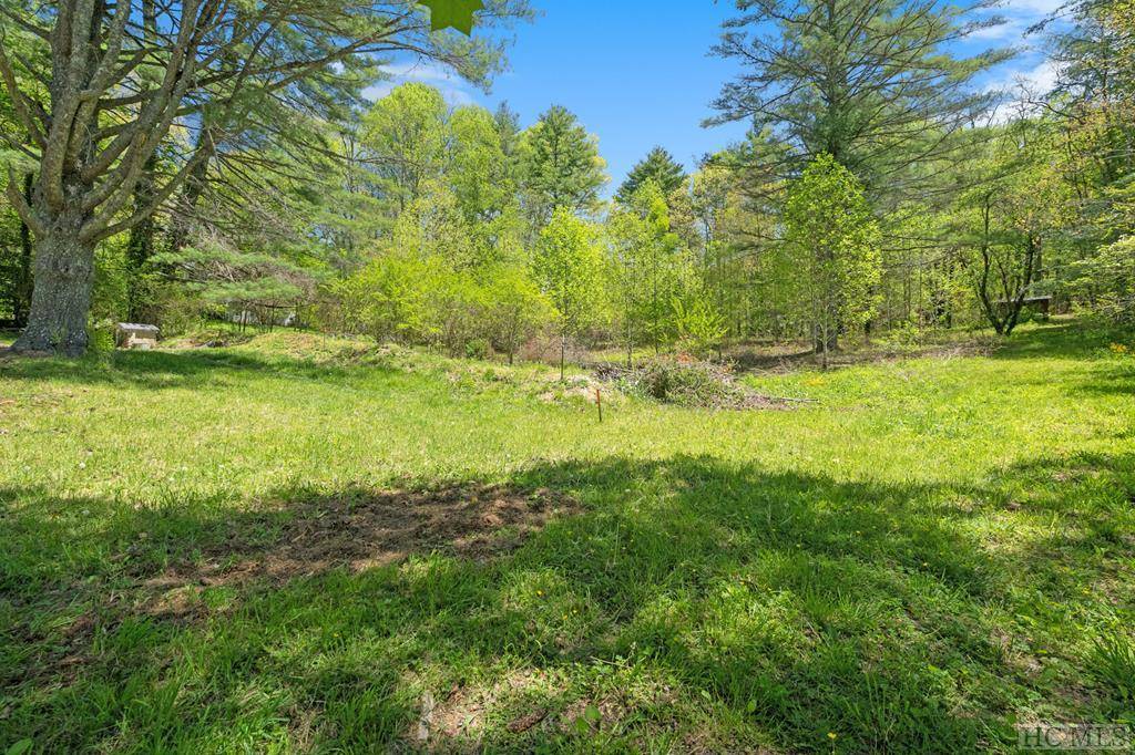 Cashiers, NC 28717,194 1/2 Tarragon DR