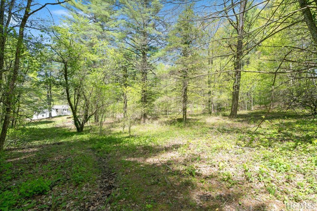 Cashiers, NC 28717,194 1/2 Tarragon DR