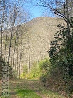 Scaly Mountain, NC 28775,6507 Dillard RD