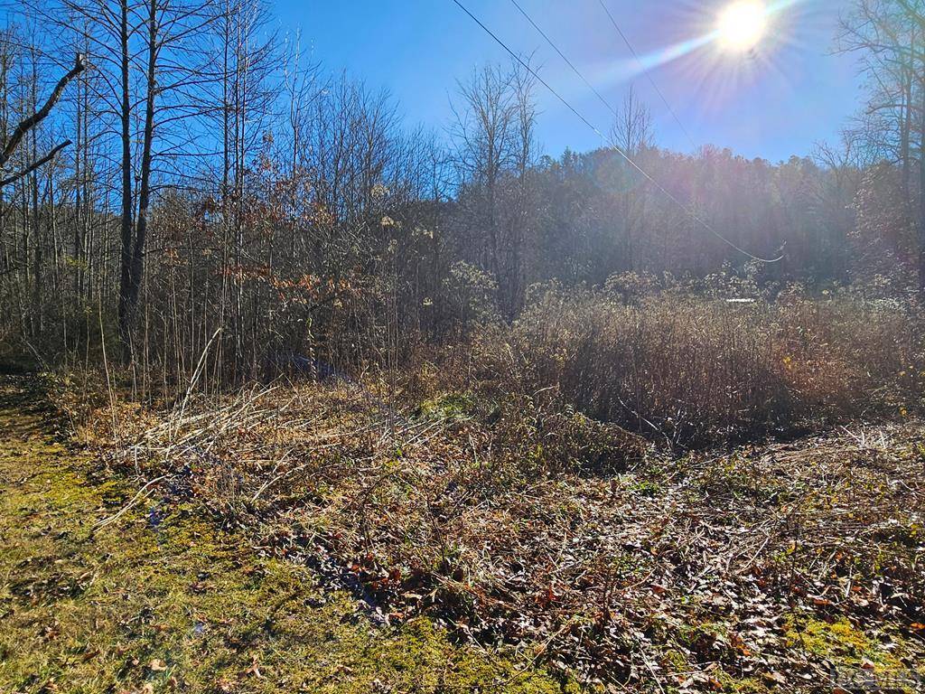 Sylva, NC 28779,24.74 AC East Fork RD