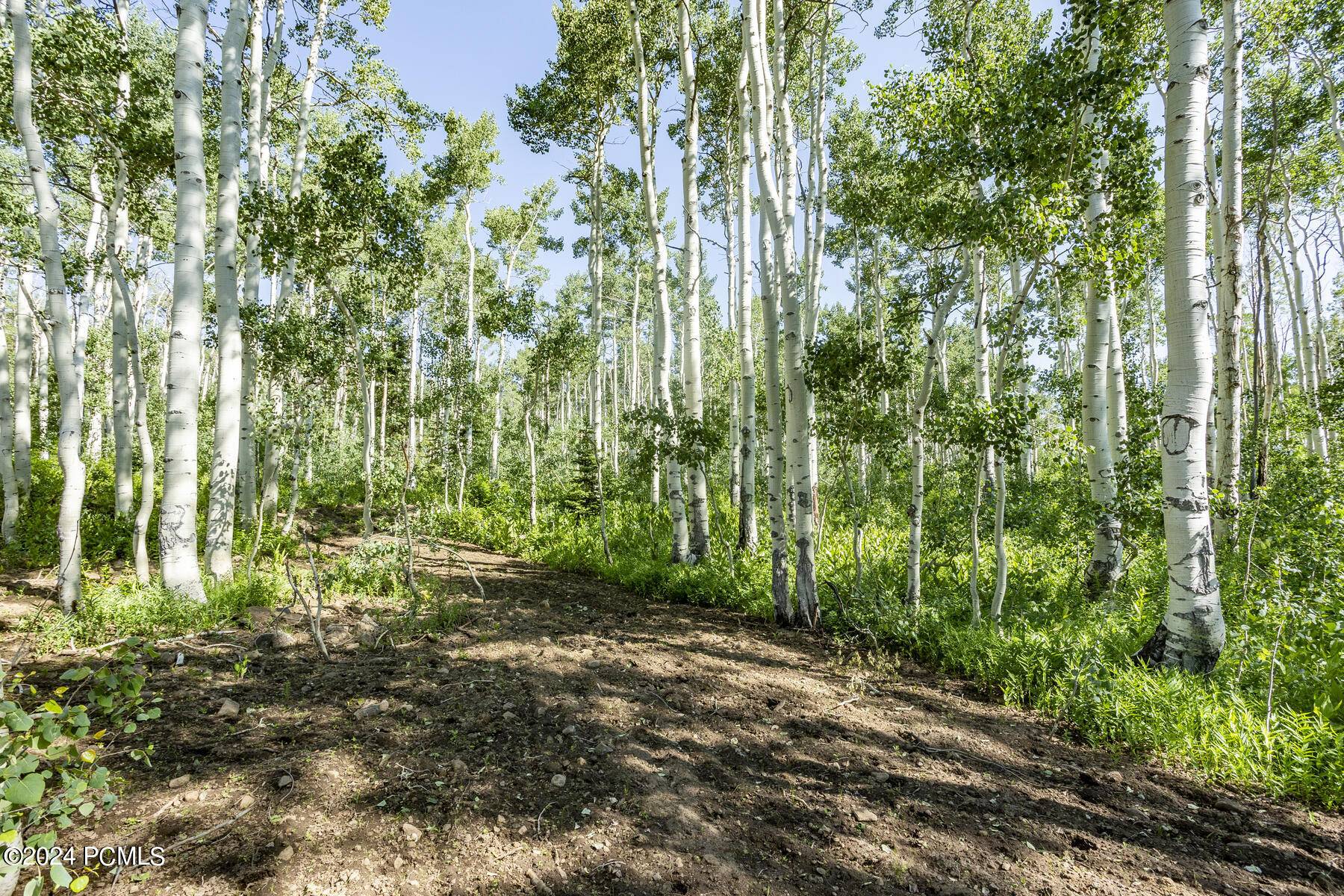 Midway, UT 84049,5156 N Pebble DR Drive