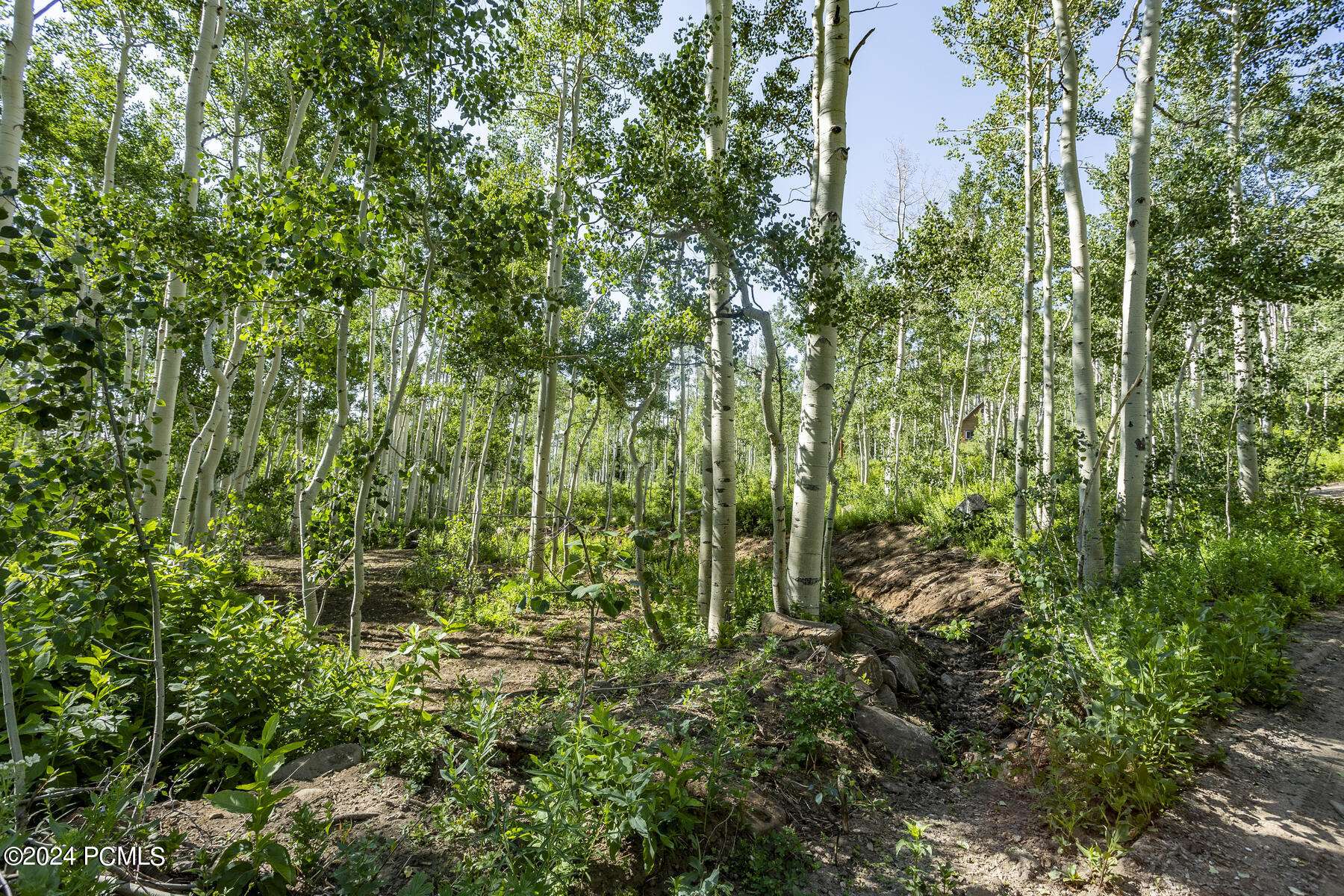 Midway, UT 84049,5156 N Pebble DR Drive