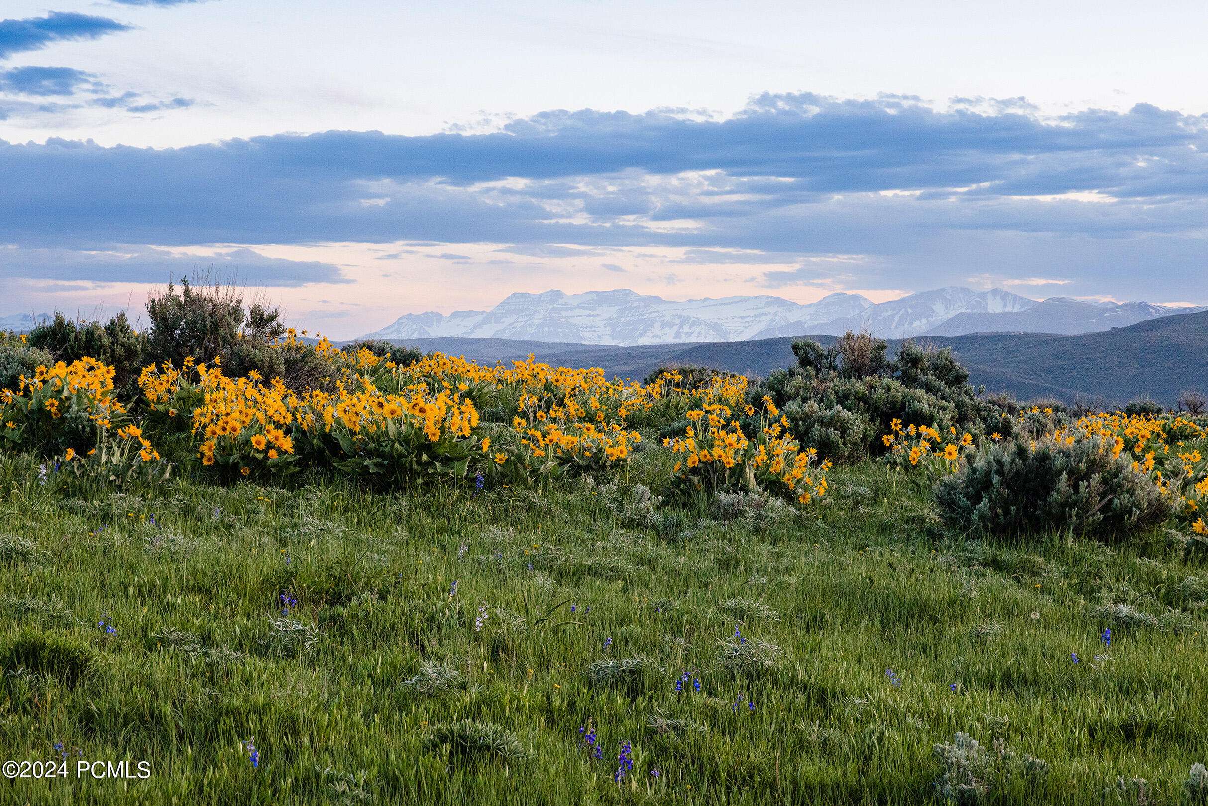 Marion, UT 84036,1235 Hoyt Peak Ranch RD Road