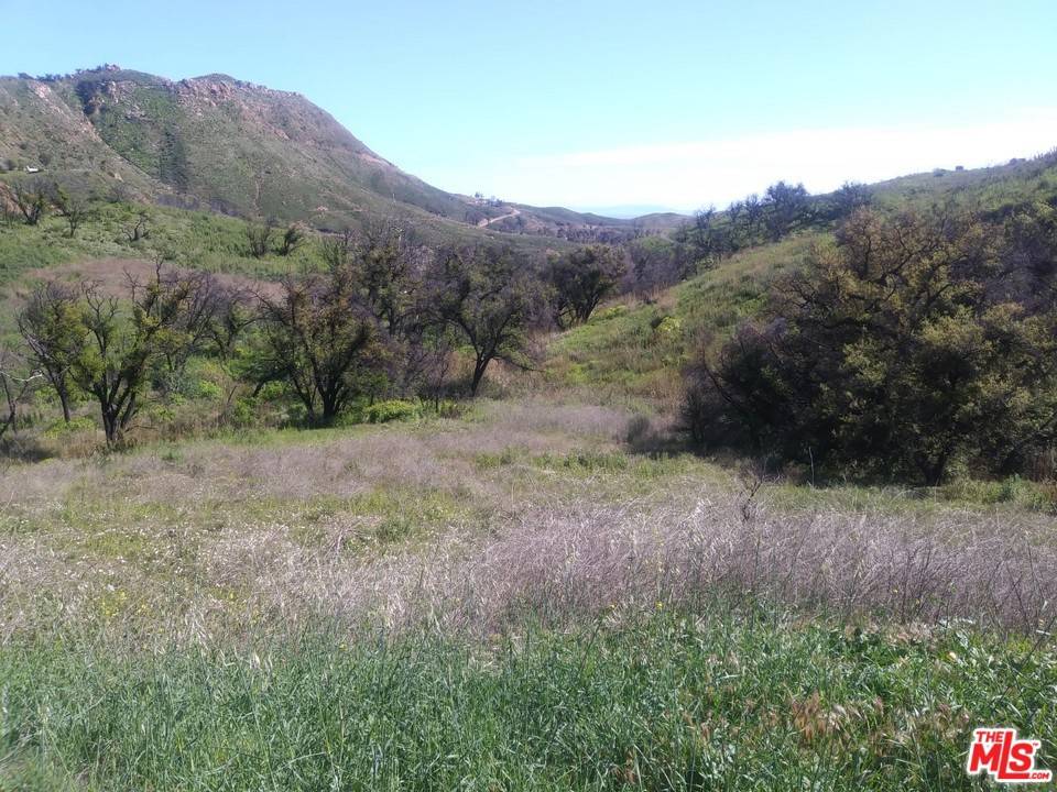 Malibu, CA 90265,2517 Encinal Canyon RD