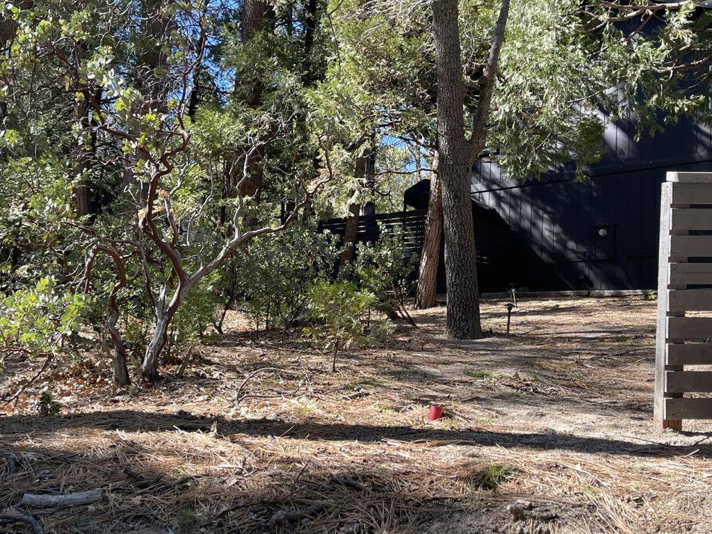 Idyllwild, CA 92549,0 Cedar Glen Drive DR