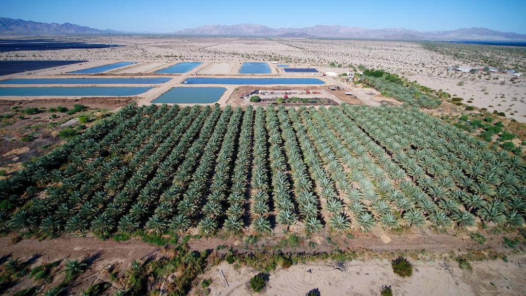 Desert Center, CA 92239,24511 Rice Rd