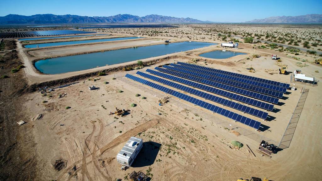 Desert Center, CA 92239,24511 Rice Rd