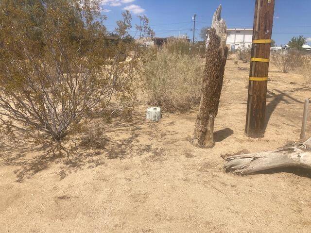 Joshua Tree, CA 92252,61956 Aster PL