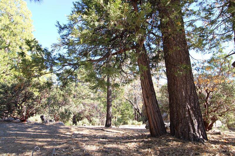 Idyllwild, CA 92549,0 Gibbs-Gully