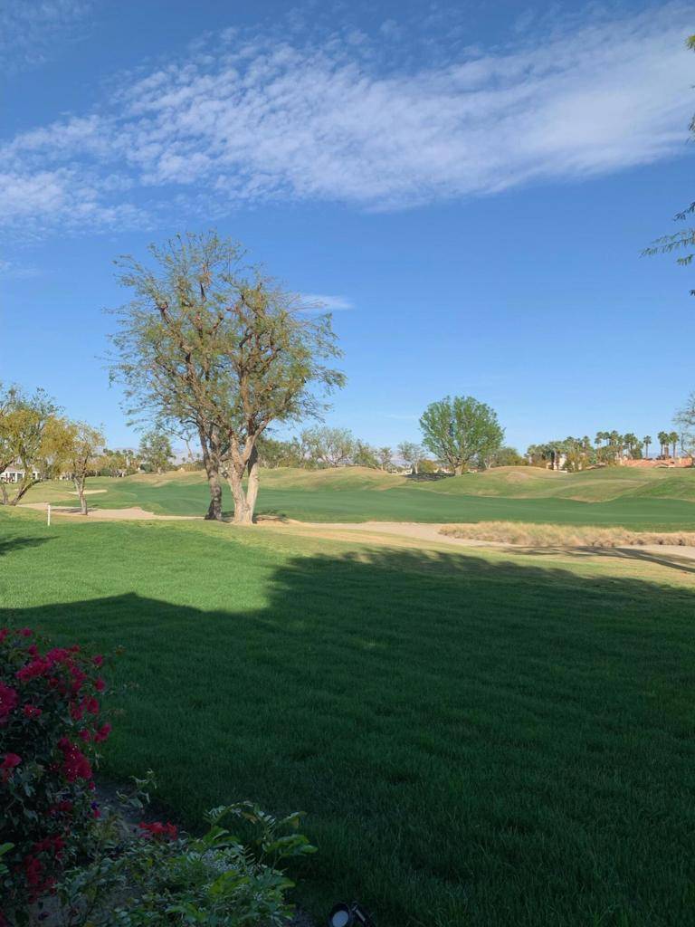 La Quinta, CA 92253,54326 Oak Tree #A122